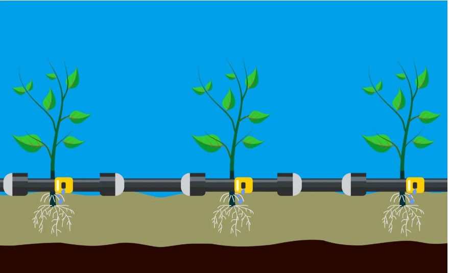 شماتیک سیستم آبیاری قطره‌ای